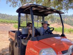Shake Ridge Vineyards